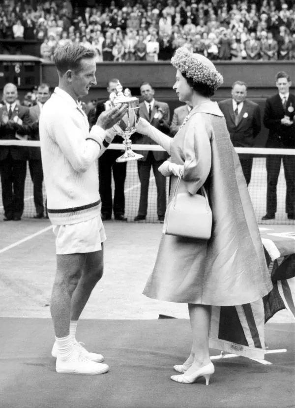 仅展现了体 仅展现了体