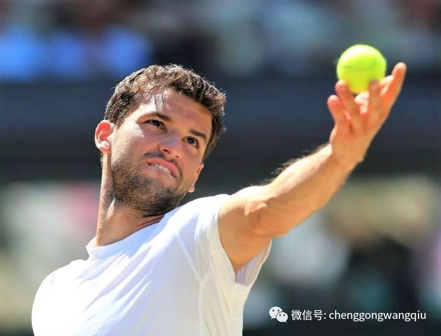 体记忆与当 体记忆与当